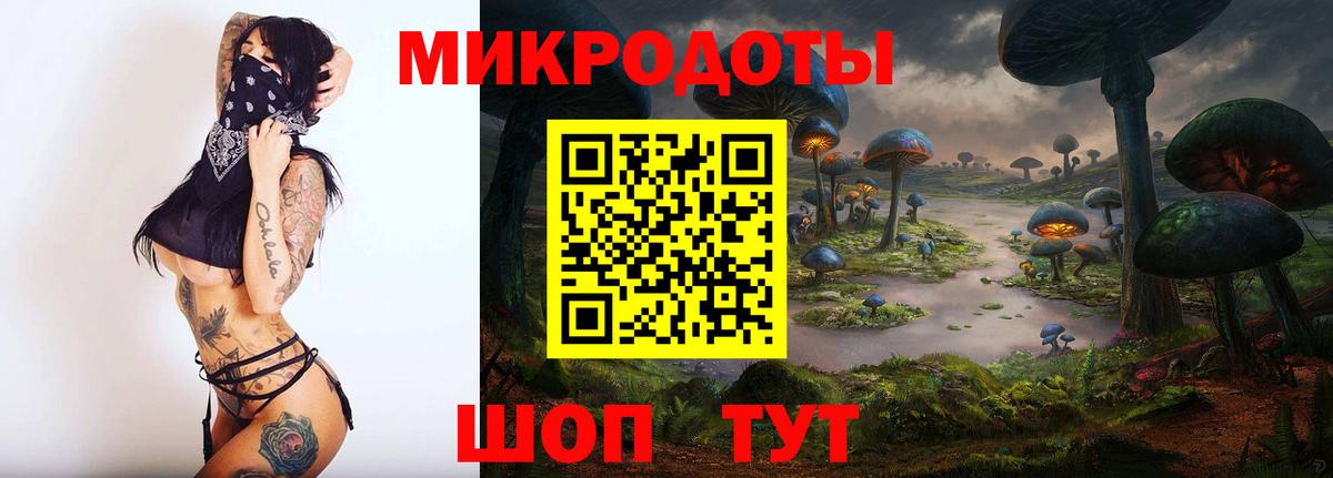 Галлюциногенные грибы прущие грибы Карталы