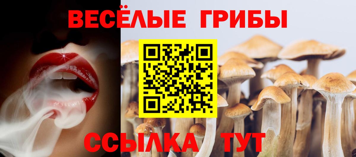 магазин продажи наркотиков  Вход с VPN  Карталы  Псилоцибиновые грибы прущие грибы 
